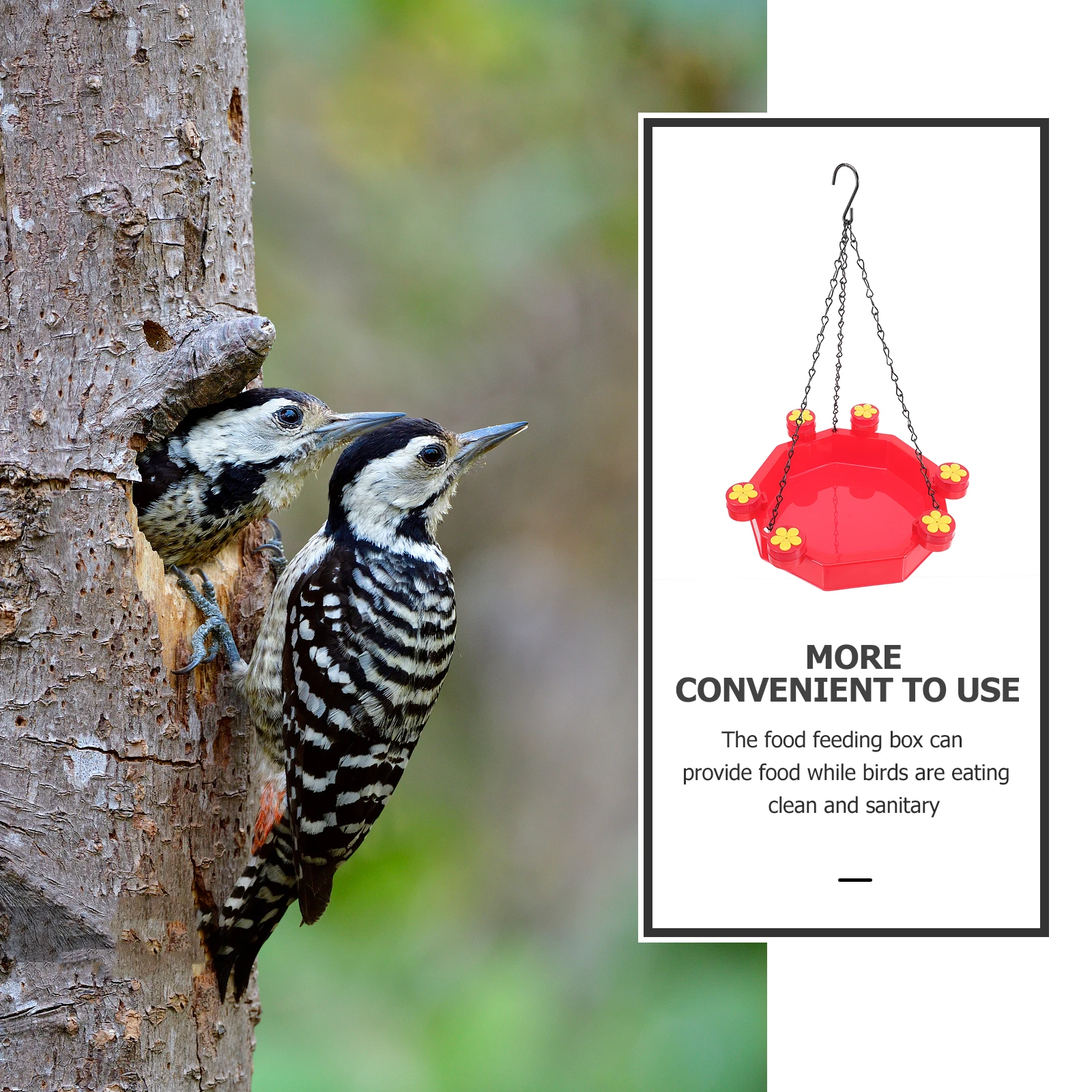 

Premium Hanging Hummingbird Garden Bird Food Dispenser Durable Outdoor Feeding Station Balcony Patio Decorative Use Safe Plastic