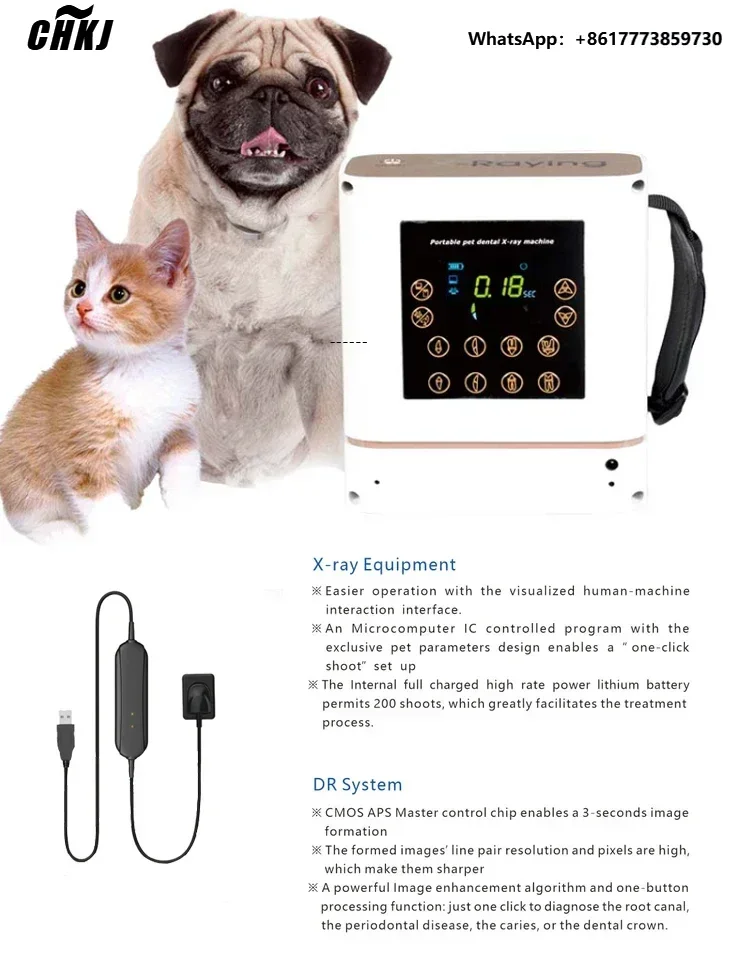 

CHKJ Vet Handheld RX Digital Den-tal X Ray Equipment Veterinary Portable Den-tal Xray With Sensor