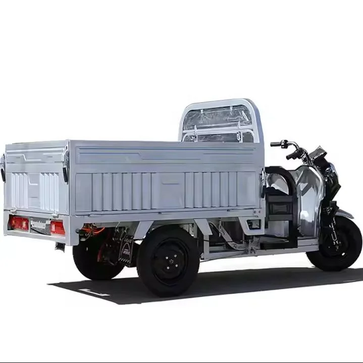 Passenger & Freight 3-Wheel Electric Tricycle Open Body 1000W 300kg 48V 1.3m Commercial Van Courier