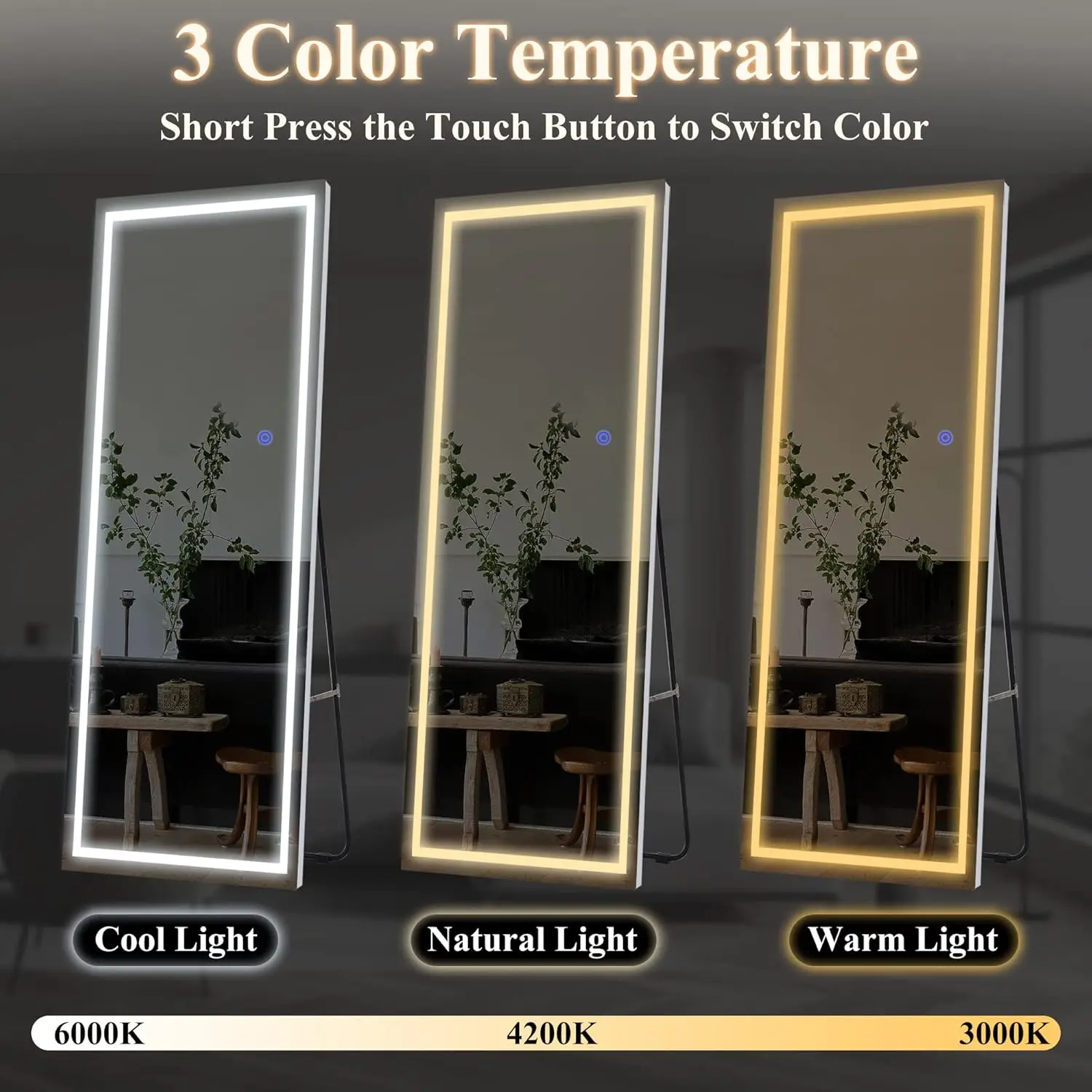 NeuType Full Length Mirror with LED Lights, 63