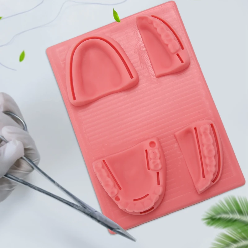 T04C- Suture Practice Kit Suture Practice Kit Students And Veterinary Student Suturing Pad,Training Kit