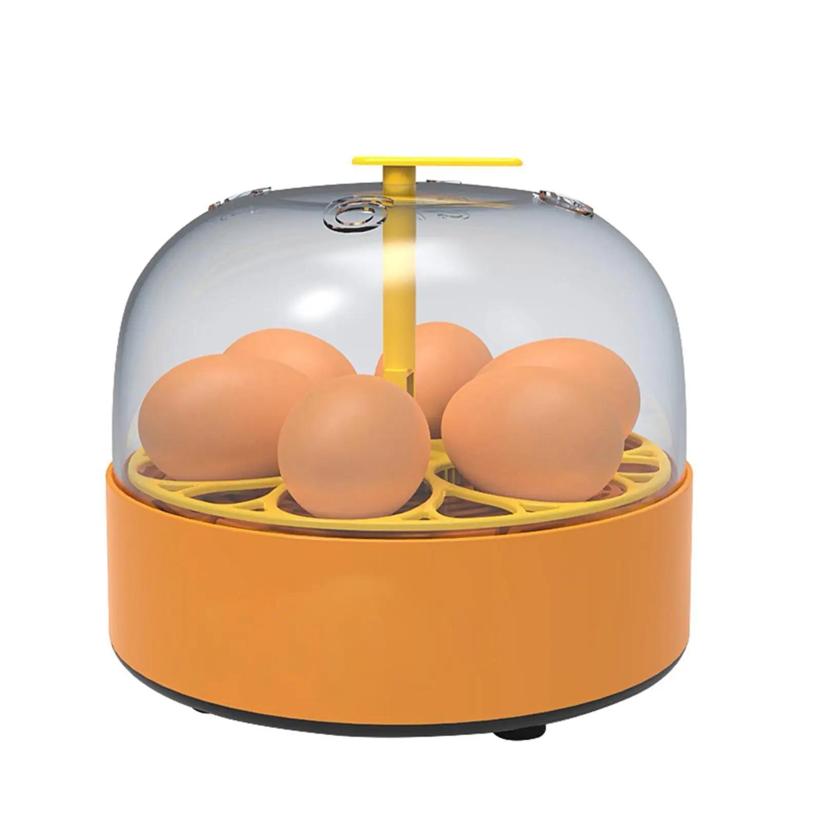 Inkubator do jaj Wtyczka EU Niezawodny mini inkubator do użytku domowego Jaja kurze
