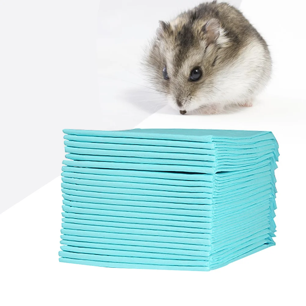 

100Pcs Pet Urine Pad Size S 45x33cm Super Absorbent Training Wee Pads Diapers Pet Supplies Indoor Outdoor Use Household Cleaning