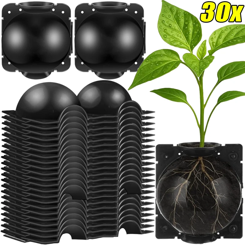 5/30Pcs Plant Rooting Ball High Pressure Propagation Root Growing Box Garden Reusable Cutting Grafting Ball Breeding Equipment
