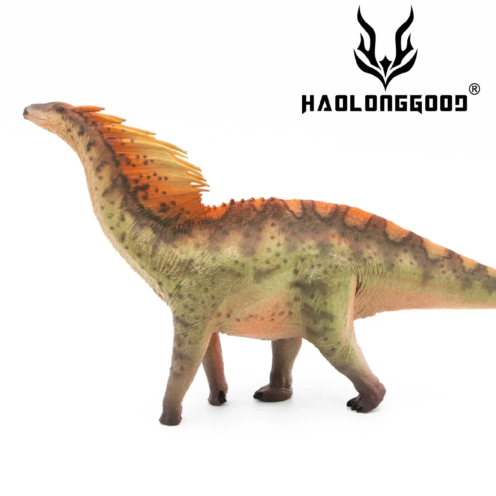 1:35 HAOLONGGOOD  Amargasaurus Dinosaur Classic Toy Animal Model