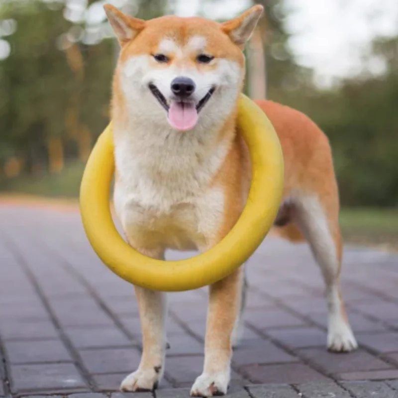 Dog Ring Toys Indes…