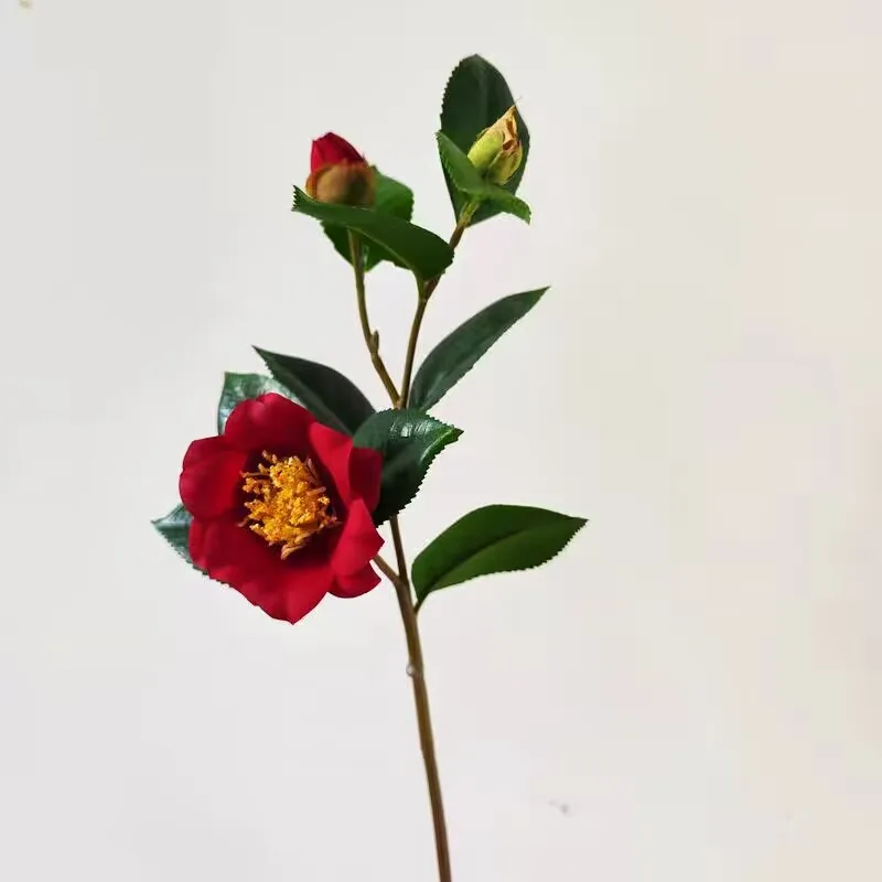 

New high-end simulated flowers, camellia branches, flower arrangements, home living room ornaments, wedding garden decorations
