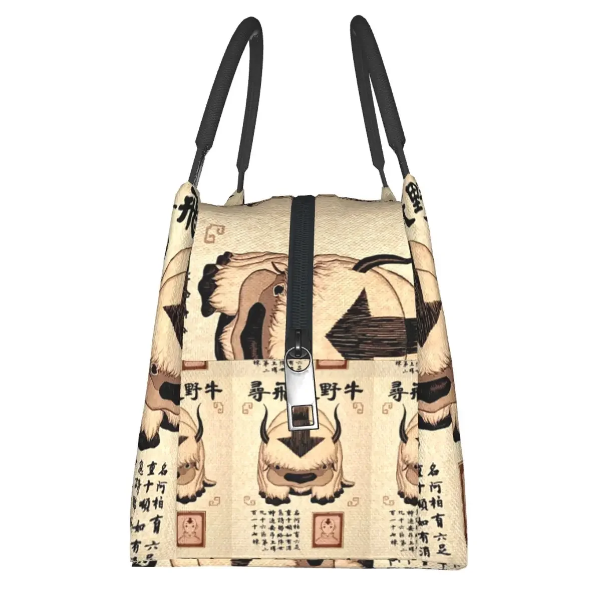 Avatar The Last Airbender Lost Appa Poster Lunch Bags Insulated Bento Box Resuable Lunch Tote Picnic Bags for Woman Student Work