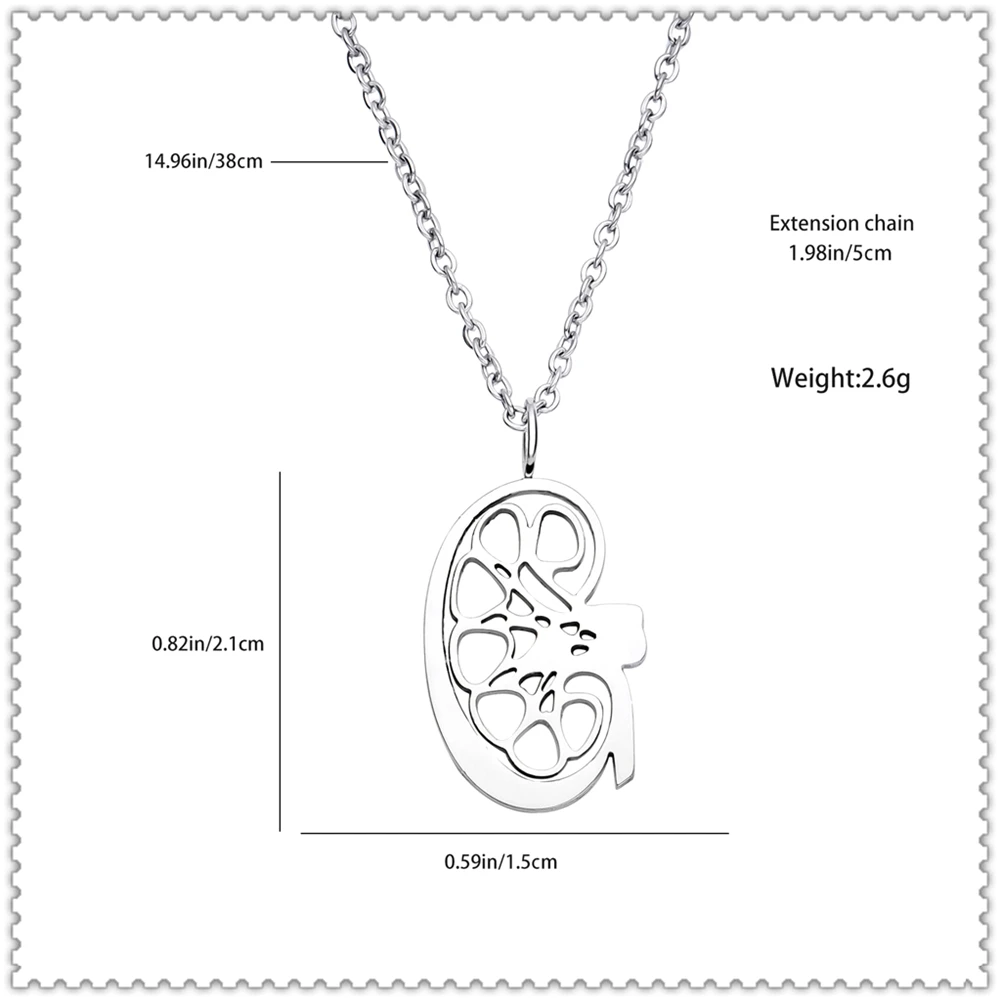 DCARZZ Stainless Steel Hollow Kidney Necklace Anatomically Designed Waterproof Pendant Jewelry for Urology Doctors and Nurses