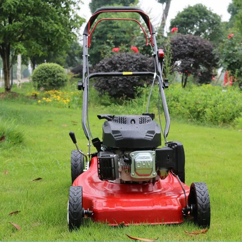 Image 7: Tondeuse à gazon électrique autotractée 4 temps avec roues pour la ferme
