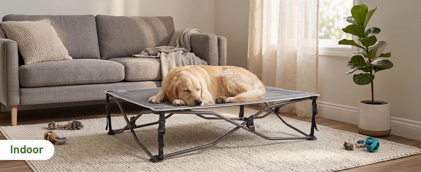 dog cot