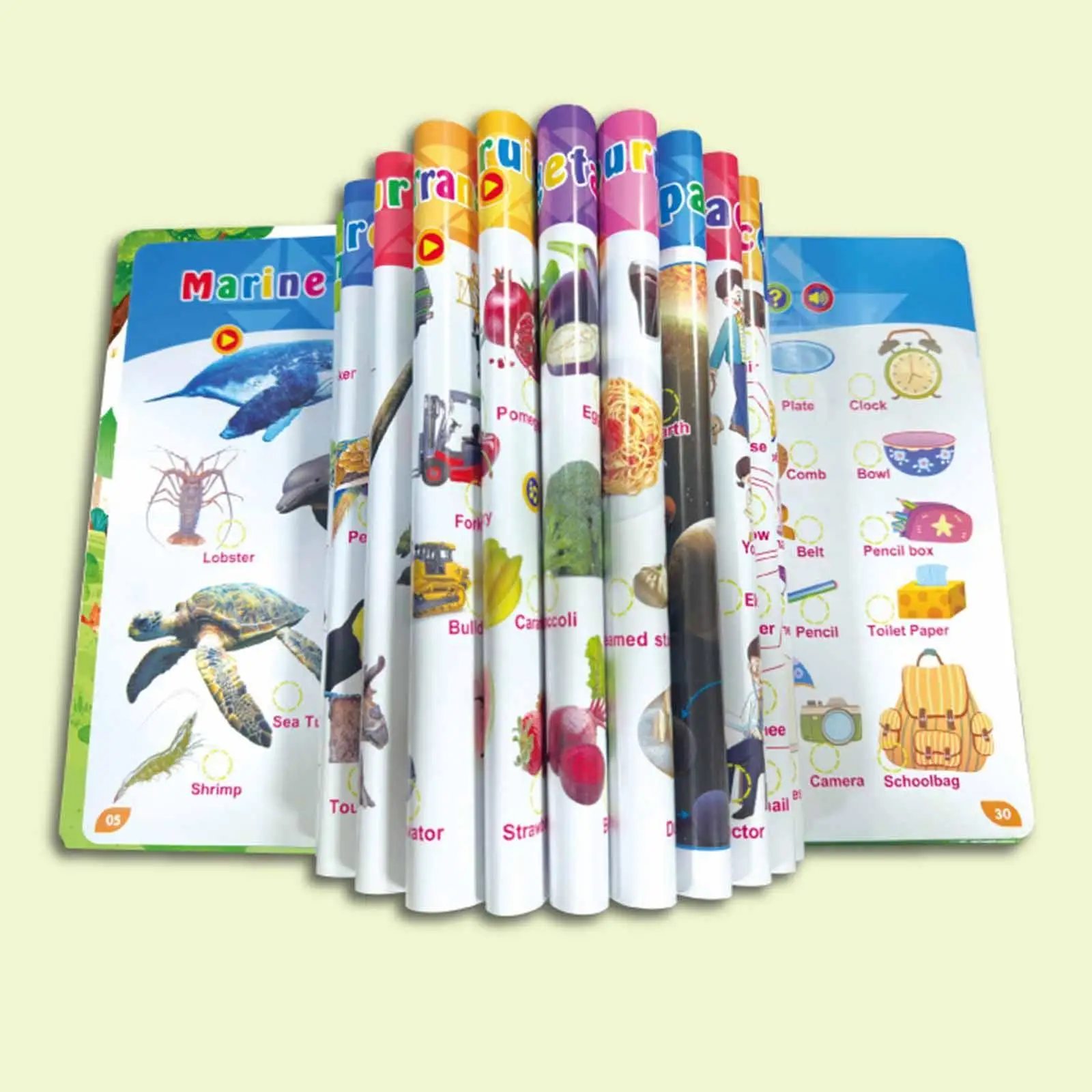 Primeiras palavras em inglês Livro de som Vocabulário Estudo para aprender cores de animais