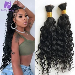 Curly Bulk Human Hair Braids Hair Boho Human Braiding Hair For Micro Braids No Weft Deep Wave Bulk Human Hair Extension LuffyWig