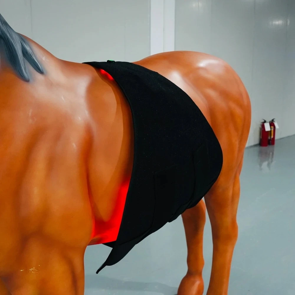 2025 OEM ODM Equine 660nm 850nm Horse Red Therapy Light Back Blanket LED Infrared Red Light Therapy for Horse Pain Relief