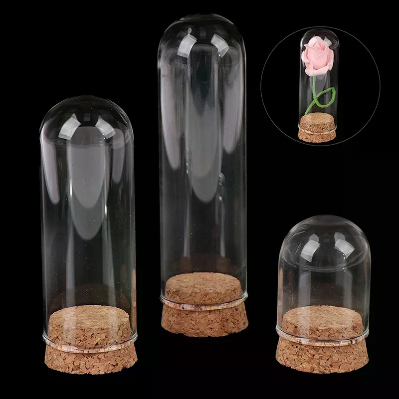 1/6 Doll Glass Dome Display Wood Cork Bell Jar With Wooden Base Decoation Craft