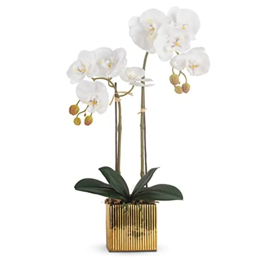 

Artificial Orchid Flowers Potted in Ceramic Pot, White Faux Phalaenopsis Orchids for Table Centerpiece, Realistic Fake Flower i
