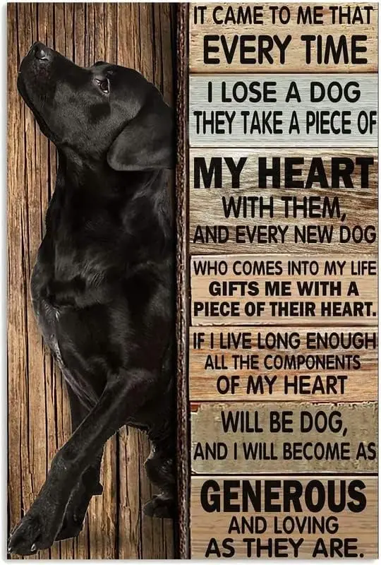 Nostalgic Vintage Metal Wall Décor 8 X 12 Inches Labrador It Came to Me That Everytime I Lose A Dog Poster Fun Sayingage Rustic