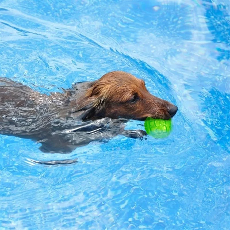 Quietschende, springende und pädagogisch wertvolle Bälle für Hunde zur Zahnreinigung, zum Kauen, zum Training und als Begleiter für kleine und mittelgroße Hunde – Detail 4