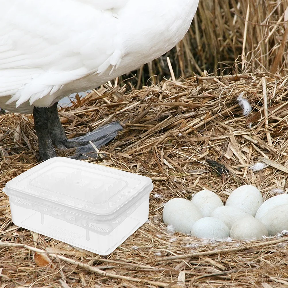 

Plastic Reptile Egg Incubator 16-Grid Transparent Hatching Box For Frogs Snakes Lizards Turtles Lightweight Breeding Case