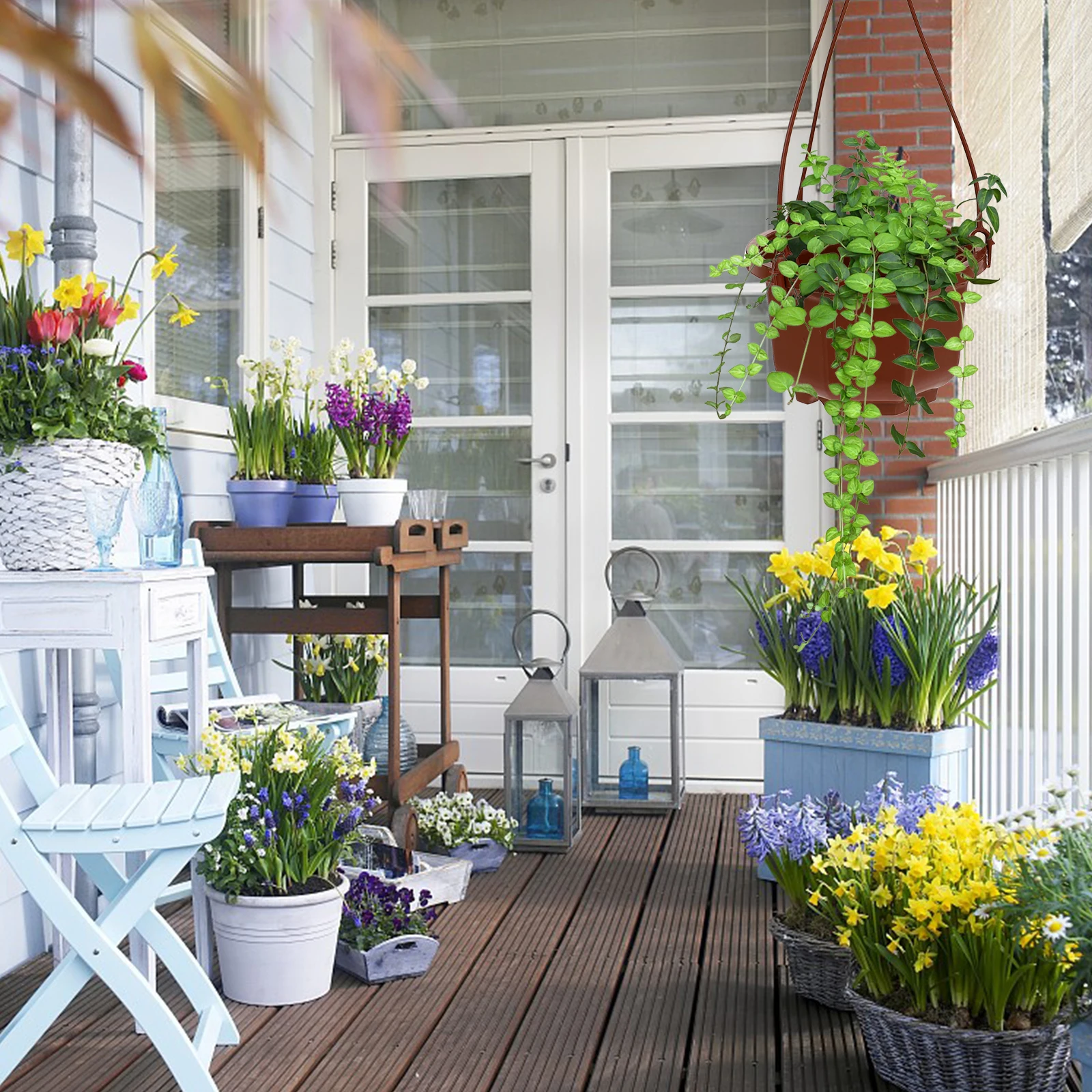 

6Sets Hanging Orchid Pots Plastic Plant Hangers Suitable for Succulents Chlorophytum Office Balcony Decor Hanging Flowerpot