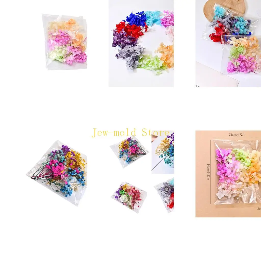 

C71B Sturdy Resin Coated Dried Flower Bouquet With Preserved Hydrangea and Baby's Breath Home Decoration