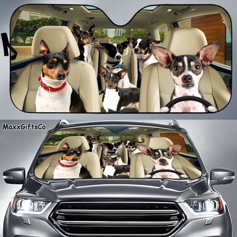 

Rat Terrier Car Sun Shade, Rat Terrier Windshield, Dogs Family Sunshade, Car Accessories, Car Decoration, Dogs Lovers Gift