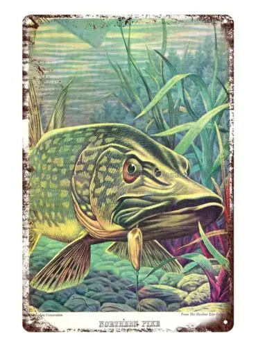 outdoor art work Garcia Catalog Fish Illustrations Northern Pike metal tin sign