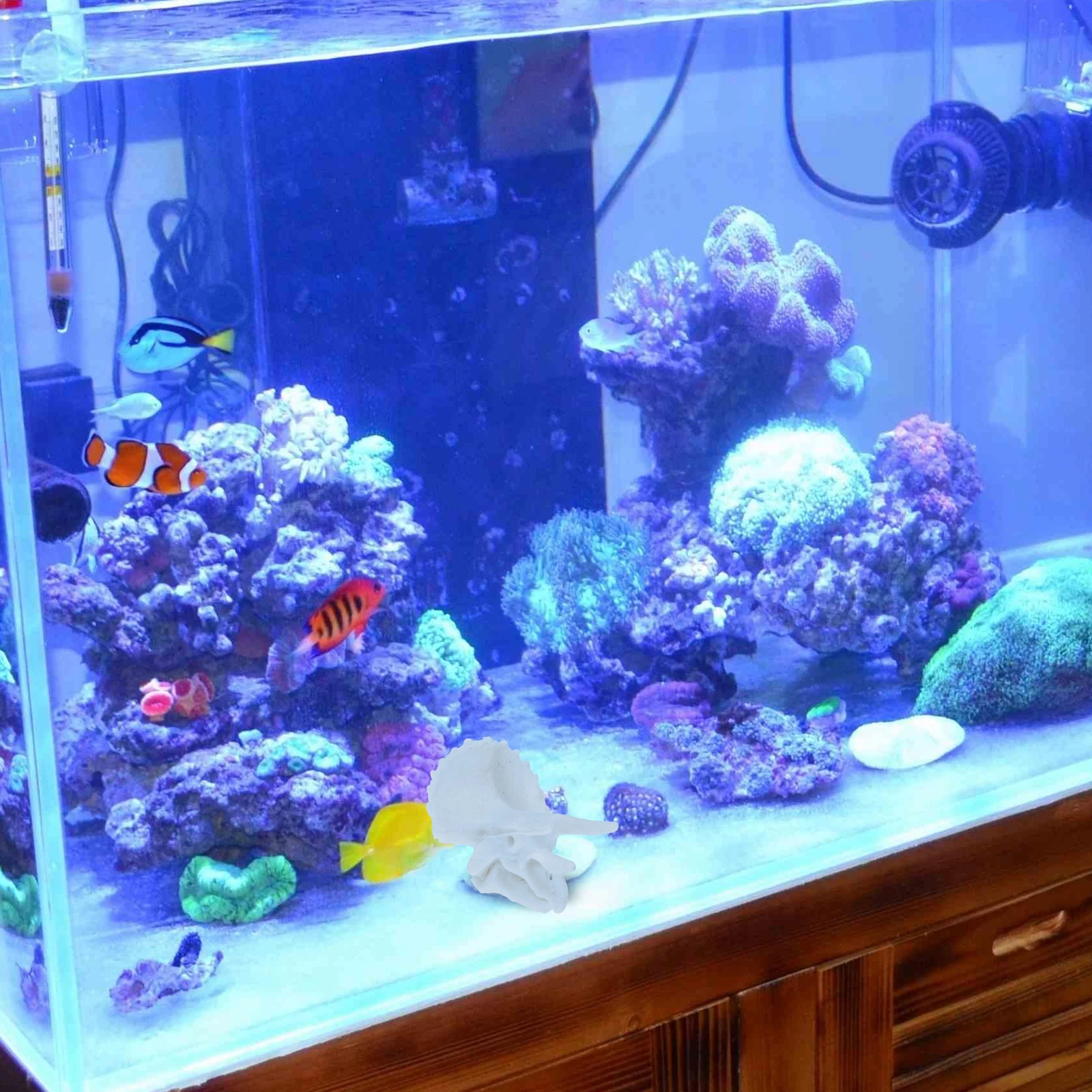 

2pcs Aquarium Resin Decorations Dinosaur Bone Ornaments Fish Tank Landscape Supplies Safe Non-Fading Desktop for Fish