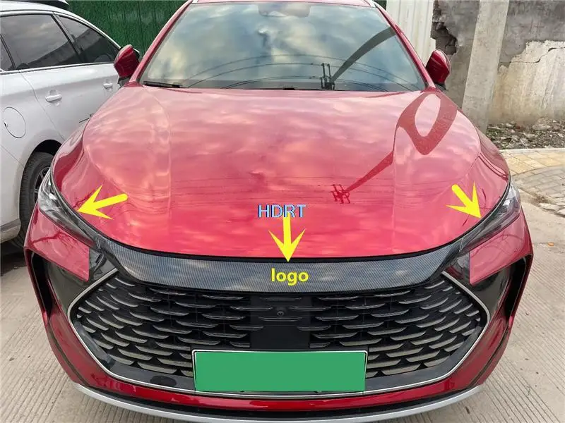 

Front Center Net Frame Grille Strip Cover Trim Moulding Car Styling Protector Decoration Accessories For BYD Tang DM-P EV 2022 +