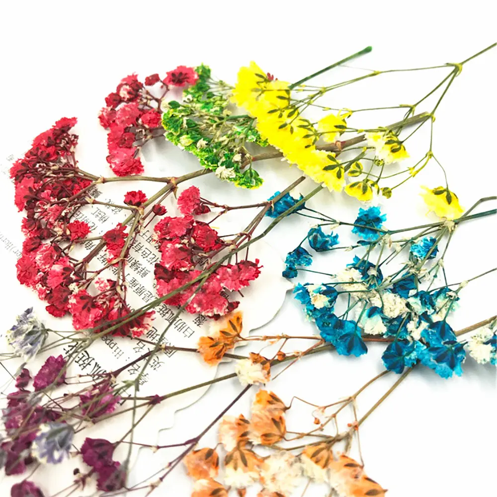 Silikonwelt DIY getrocknete Blumen Harzformfüllungen UV-Epoxidharz Blume für Nail Art gepresste Blume für Heimdekoration