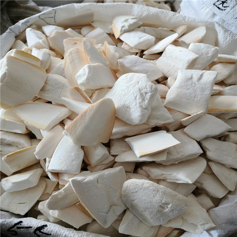 Cuttlebone الببغاء مضغ اللعب الببغاء الطبيعي الكالسيوم المكملات الببغاء لعبة مضغة للببغاوات كوكاتيل الببغاء الببغاء