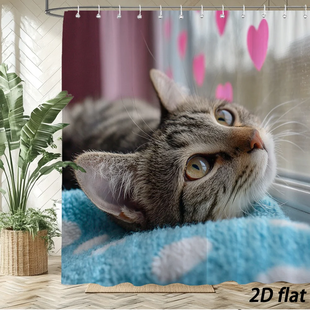 Cute Grey Tabby Kitty Resting On Plush Blue Mat Beside Window With Sweet Pink Hearts Curtain Pattern Bath curtain Cozy Plush