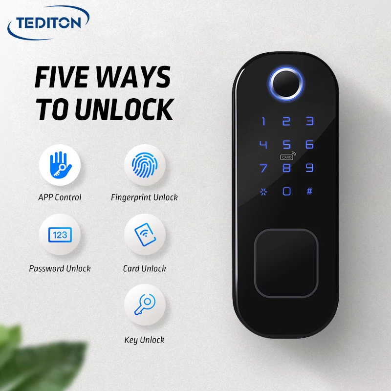 Tediton Biometric Fingerprint Passcode RFID Door Handle Lock Waterproof Double Side dual fingerprint digital door lock for grill