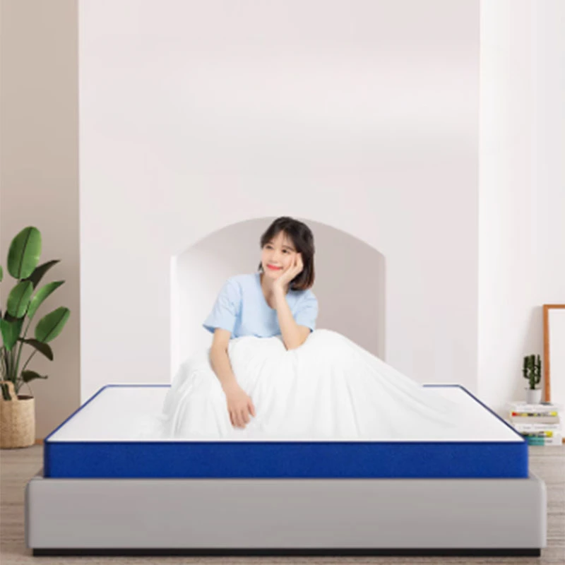 Portable Twin Mattress Modern Students Organizer Queen Bedroom Mattress Sleep Living Room Colchones De Cama Bedroom Furniture