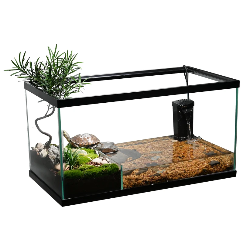 A special tank for raising turtles at home is good for changing water, ecological landscaping, green plants, glass