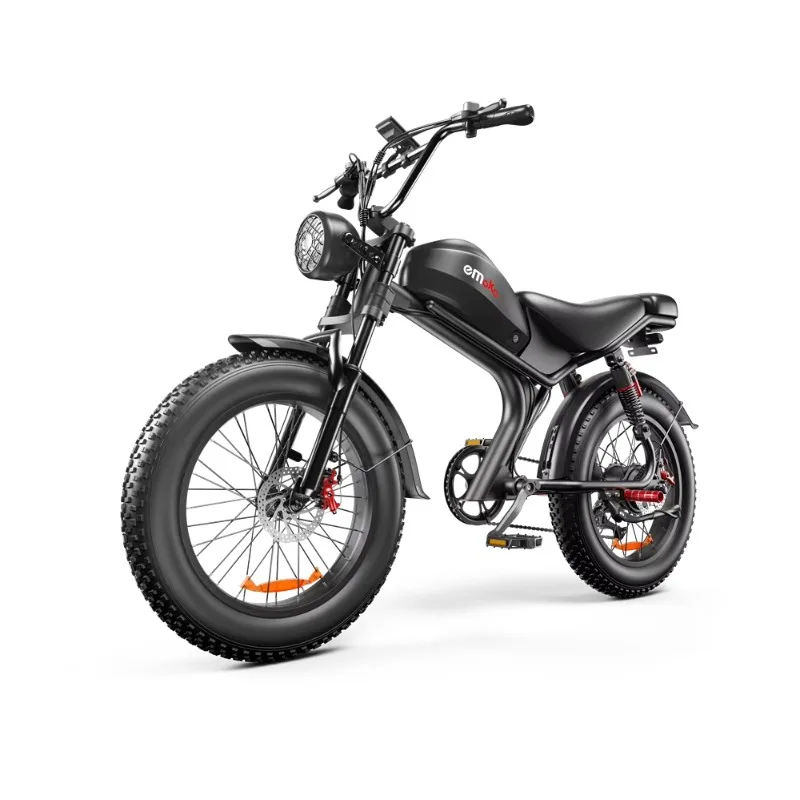 

STLF DZ WJW Advanced A STOCK 2*1000w Dual Motor off Road Electric Bike Fat Tire E-bike