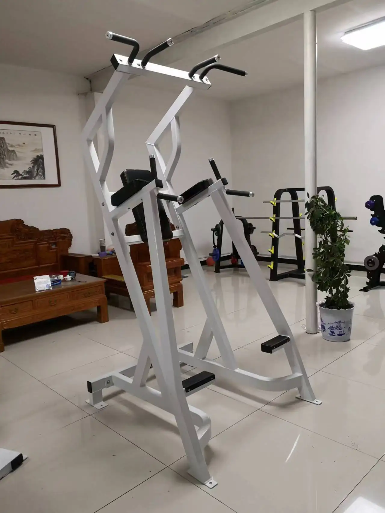Professional Fitness Equipment Commercial Vertical Leg Lift/Vertical Lift/Immersion and Abdominal Machine