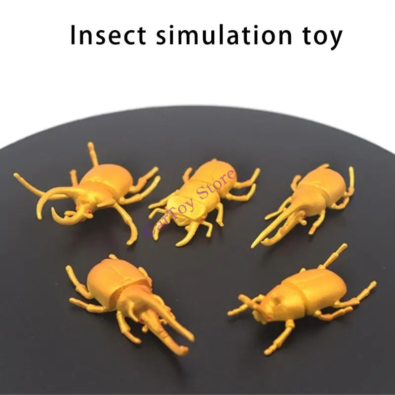 Giocattolo educativo del modello insetto simulazione 18pcs per l'apprendimento della biologia della natura dei bambini