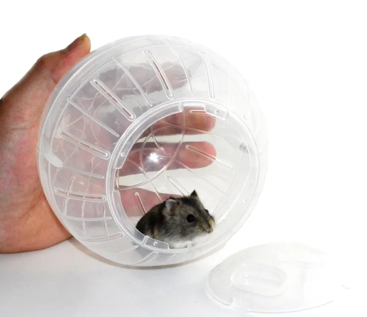 Plastik Haustier Nagetier Mäuse Jogging Ball Hamster Spielzeug Rennmaus Kaninchen Ratte Übungs bälle spielen Haustier Spielzeug nach Hause Hamster liefert