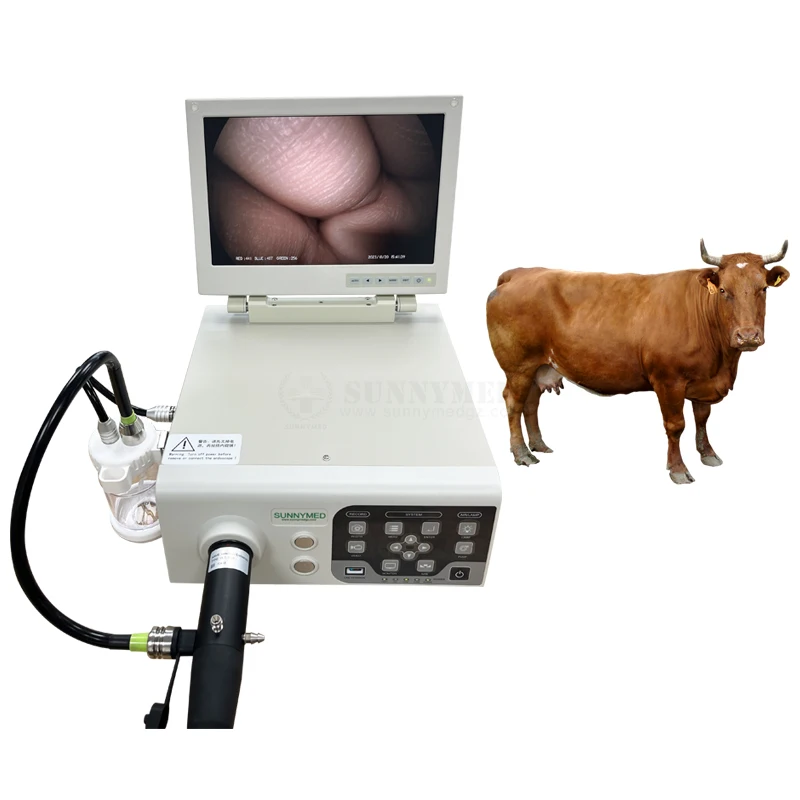 SY-P033-1 Veterinary Clinical Endoscope Flexible Gastroscope and Colonoscope Applicable for Big Animals Like Horse