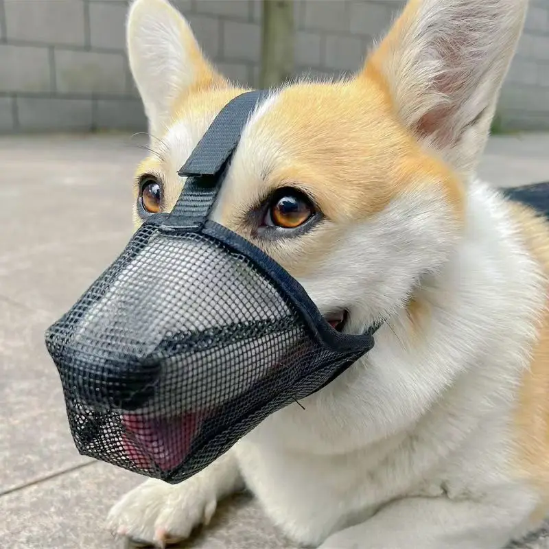 NEU 2026 Hundemaulkorb aus Mesh für große Hunde – Atmungsaktiver Anti-Ess- und Anti-Bell-Maulkorb für Golden Retriever – Bissfeste Haustiermaske – Detail 8