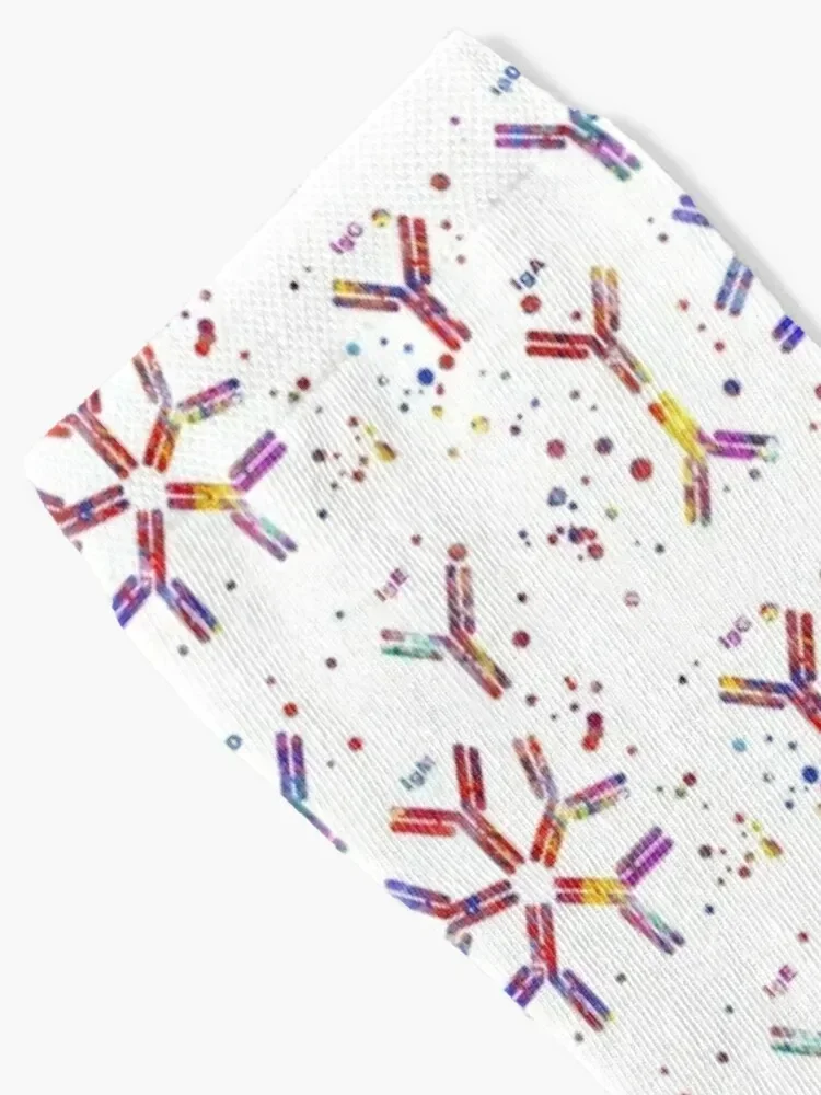 جزيئي مضاد للجسم، IgA، IgG، IgM، IgE، IgD جوارب مضحكة جورب كاحل احترافي للجري جوارب نسائية فاخرة للرجال