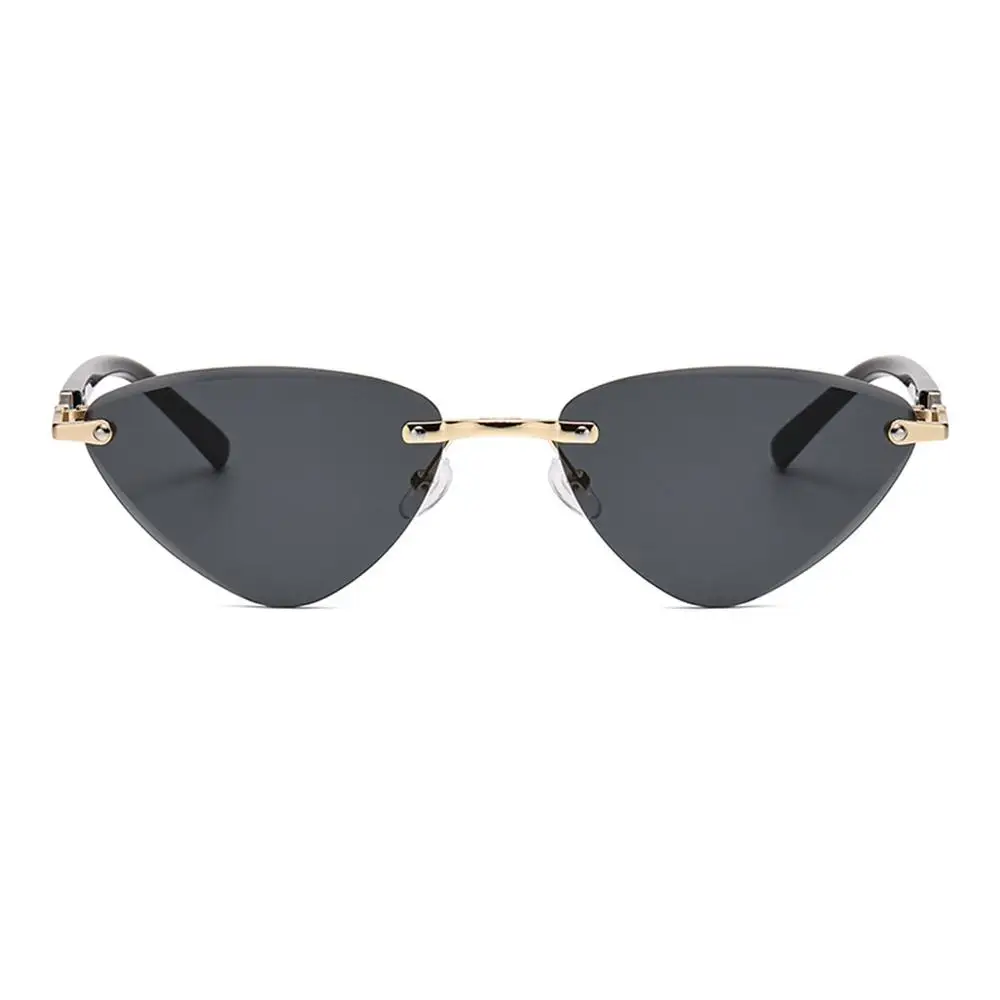 Triangular Cat Eye Sunglasses Punk Cut-Edge Unique Temples Shades UV400 Protection Hip-Hop Sun Glasses