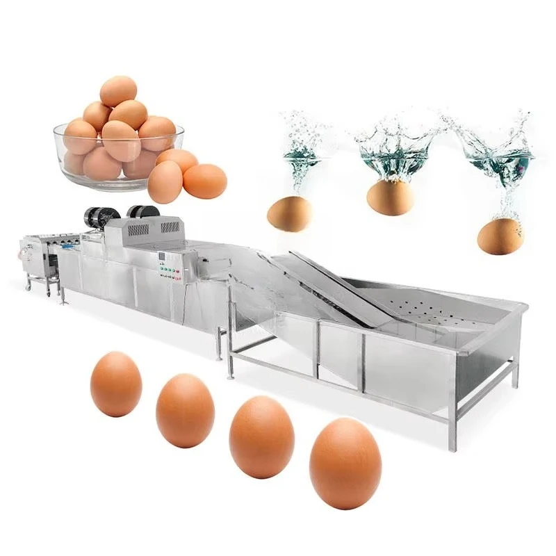 FOODLINE Automatic Egg Washer With Air Drying Function For Egg Grading And Packing Supporting Equipment