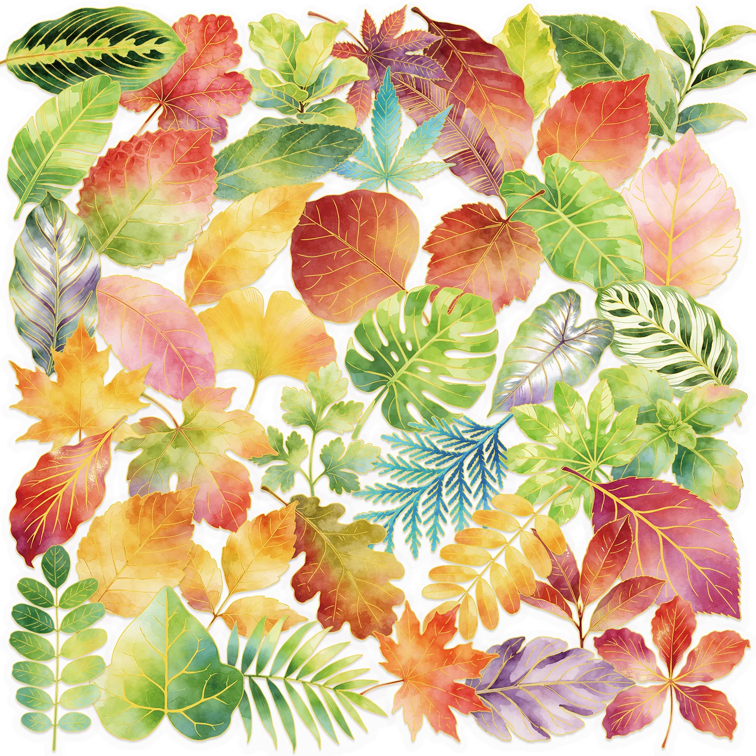 50 Gold-Foiled “One Leaf” Stickers Transparent Waterproof PET DIY Decorative Stickers for Bullet Journals, Phones, and Laptops