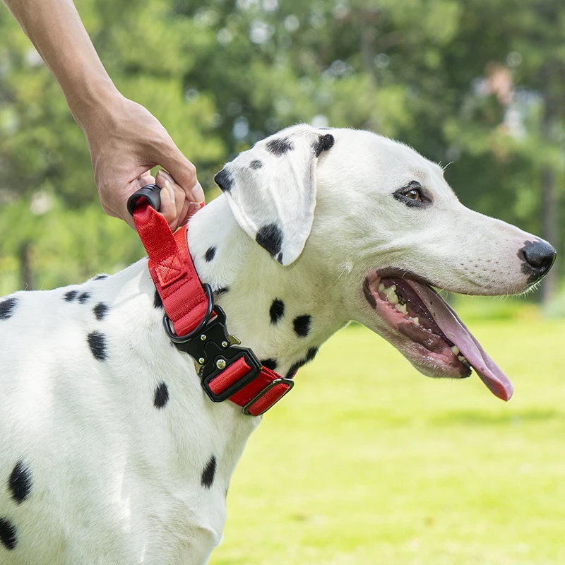 Taktisches Hundehalsband für mittelgroße und große Hunde, robuste Hundehalsbänder mit Griff, Hundetrainingshalsband mit Metallschnalle, dickes Militär – Detail 5