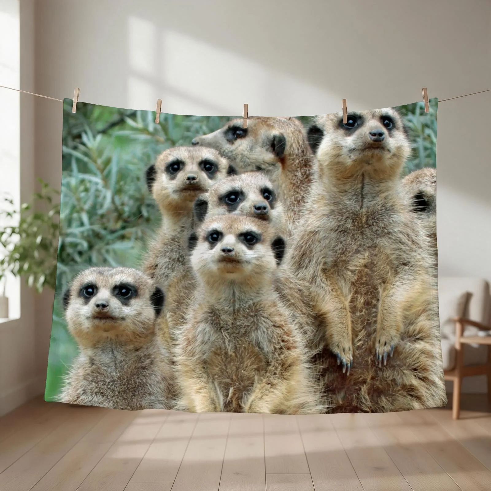 Meerkat 012 Throw Blanket Luxury Brand valentine gift ideas decorative Hair Blankets