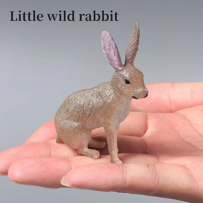 لعبة حيوانات نموذجية محاكاة لطيفة تعليمية - شخصية حيوانات على شكل أرنب أرنب أركتيكي من مادة PVC لتزيين الأطفال #5