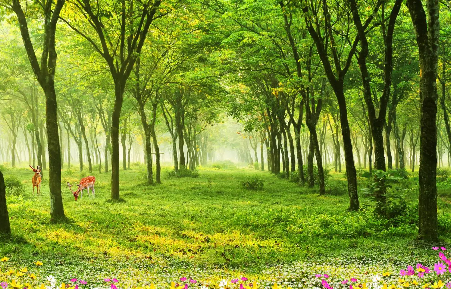 

3D Stereoscopic Landscape Photo Wallpaper Large Living Room Decor Mural Lying Wall Paper - Vibrant Visual Experience