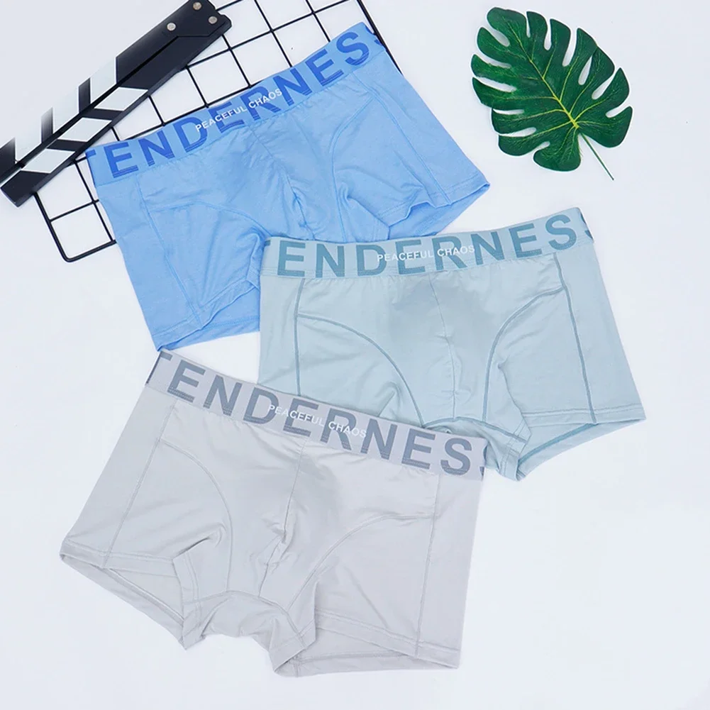 Mens Silky Underwear Boxer Briefs Thin Solid Color Simple Basic Ice Silk Comfort Mens Underpants Cotton Men's Panties